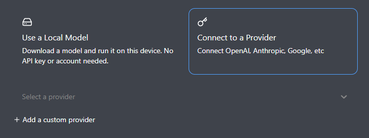 Goose 欢迎页:已选中 Connect to a Provider,下方为 Add a custom provider