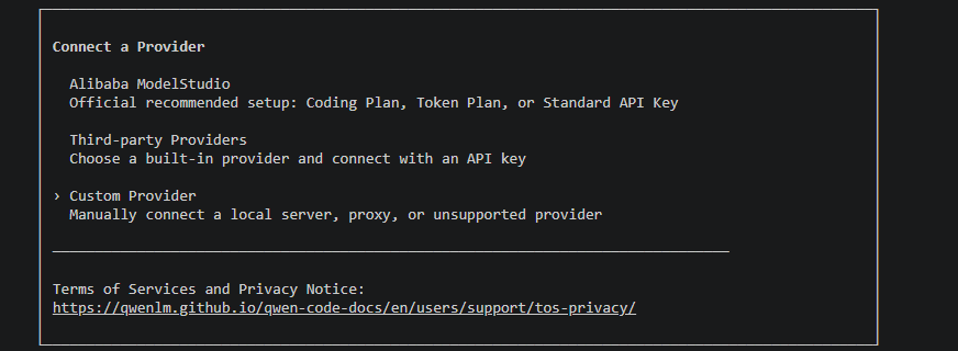 Qwen Code's Connect a Provider menu with Custom Provider highlighted